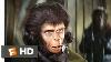 Planet Of The Apes 1968 Commander Taylor Prop Survival Backpack 11 Apemania